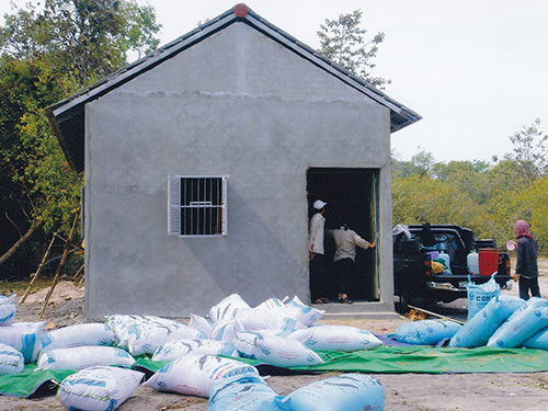 Rice harvest at Mercy Home 2